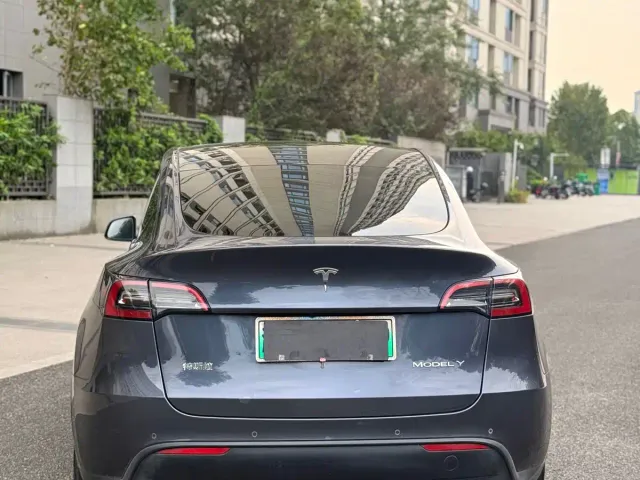 Tesla Model Y — Фото автомобиля 8