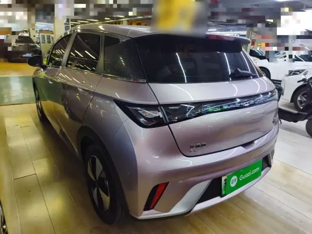 BYD Dolphin — Фото автомобиля 4