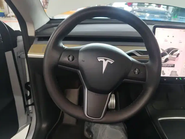 Tesla Model Y — Фото автомобиля 10