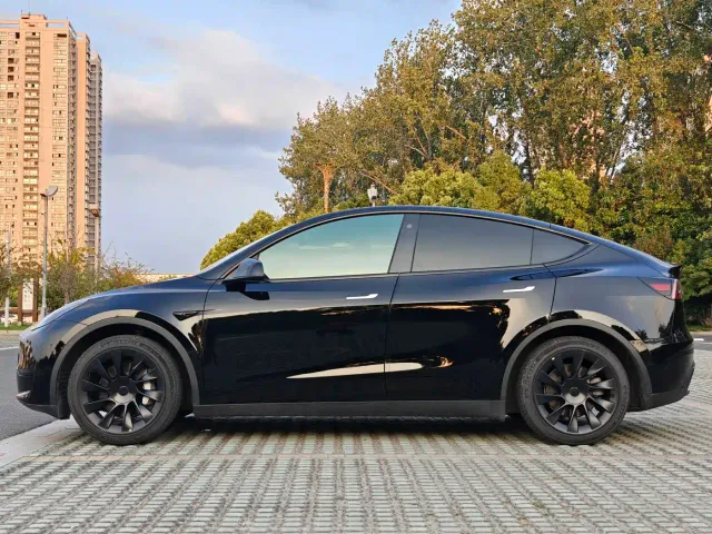 Tesla Model Y — Фото автомобиля 3