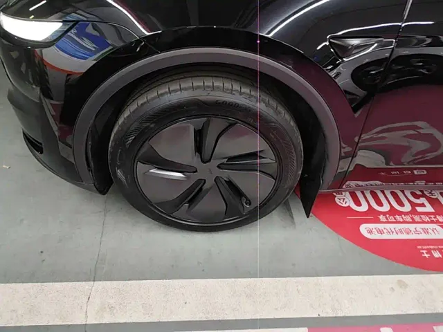 Tesla Model Y — Фото автомобиля 22