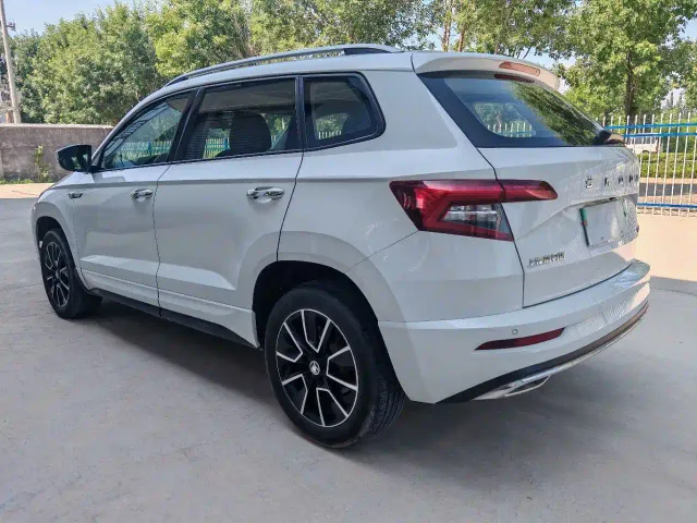 Skoda Karoq — Фото автомобиля 6