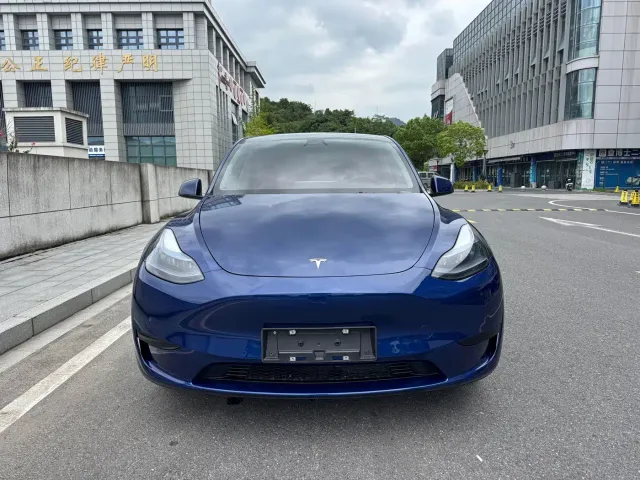 Tesla Model Y — Фото автомобиля 2