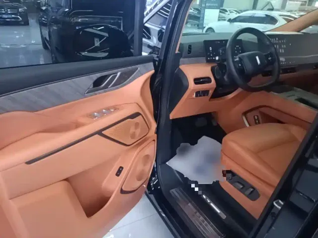 Wey Alpine — Фото автомобиля 15