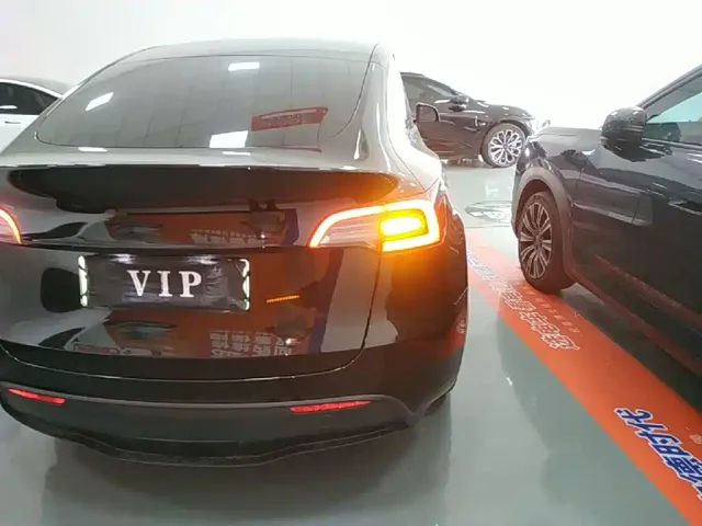 Tesla Model Y — Фото автомобиля 7