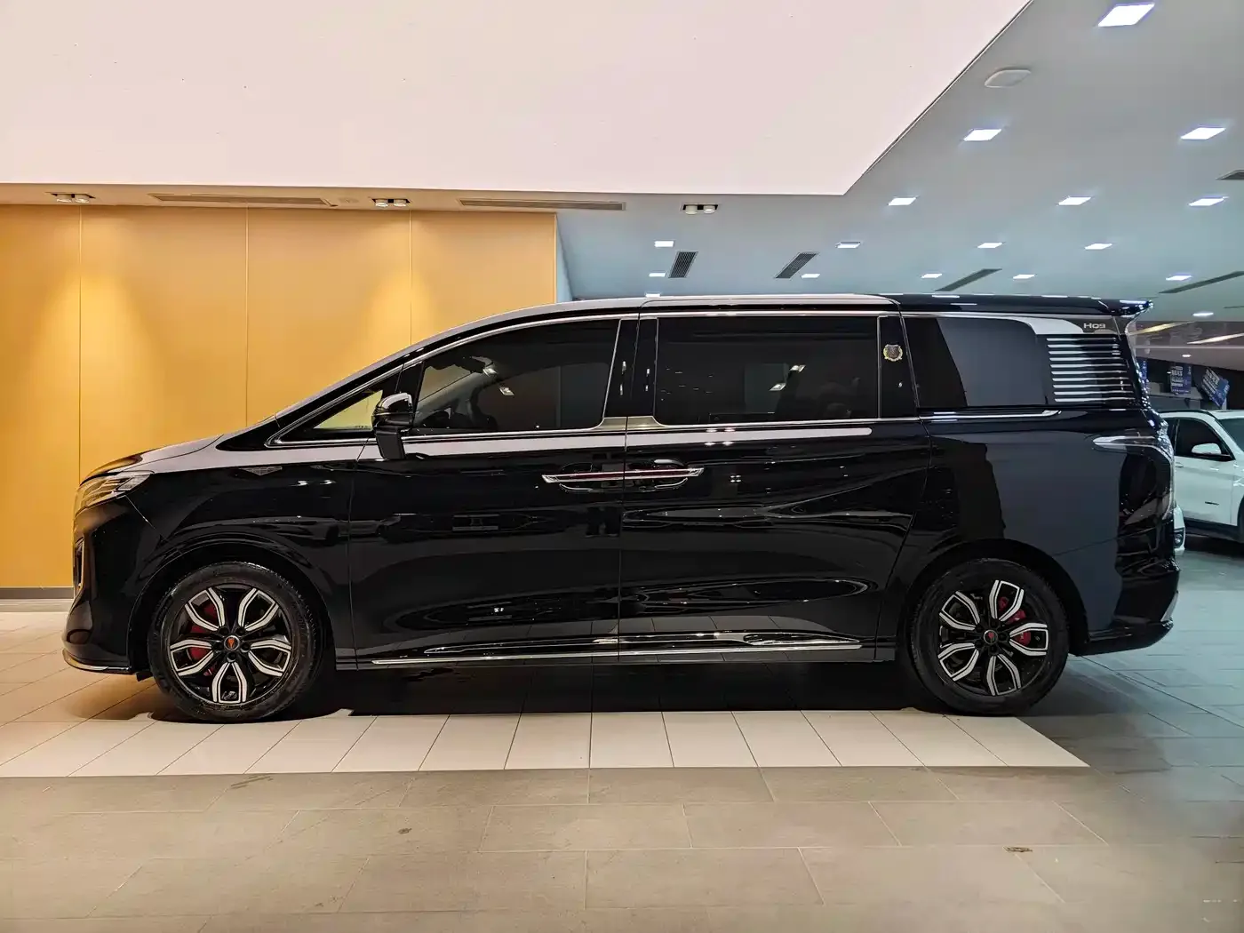 Hongqi Hongqi HQ9 2023 2.0T Smart Connect Flag Rhyme Edition — Фото автомобиля 6
