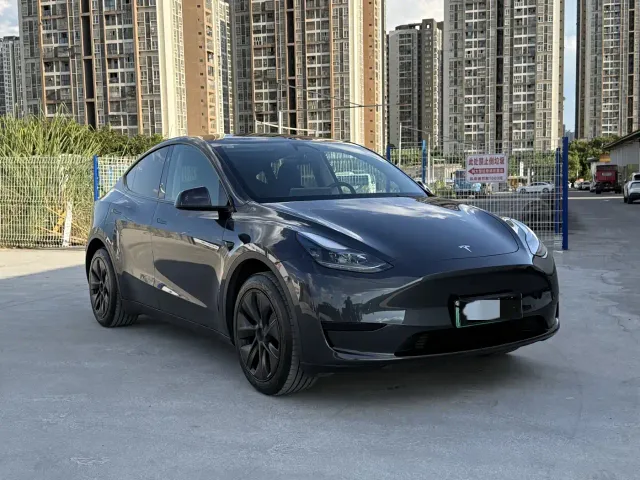 Tesla Model Y — Фото автомобиля 3