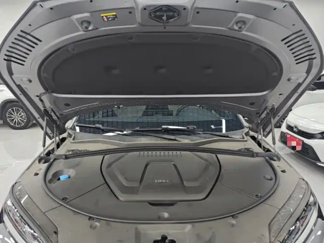 BYD Song PLUS — Фото автомобиля 19