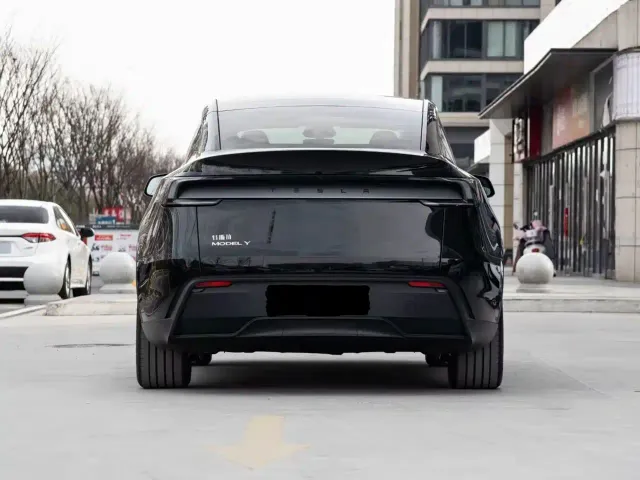 Tesla Model Y — Фото автомобиля 3