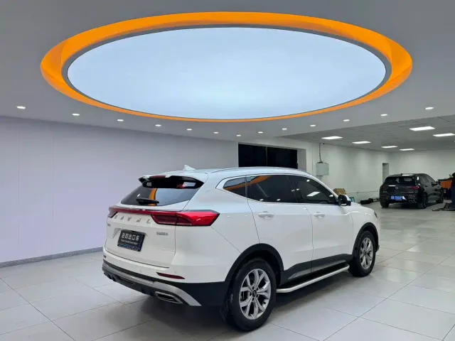 Haval Haval H6 2021 Model 1.5T Automatic Champion Edition — Фото автомобиля 6