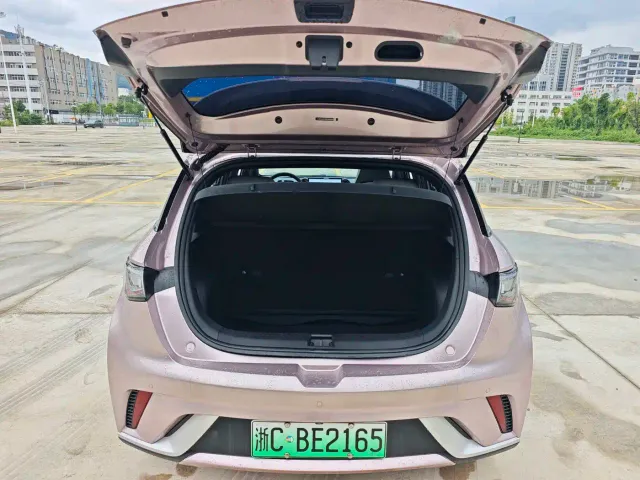 BYD Dolphin — Фото автомобиля 22