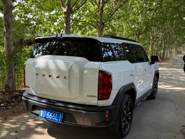 Haval Cool Dog — Фото автомобиля 6