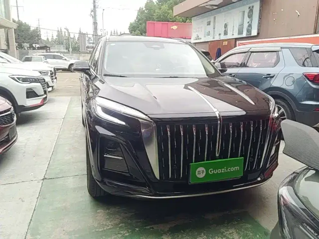 Hongqi Hongqi HS3 2024 1.5T Virtue Edition — Фото автомобиля 2