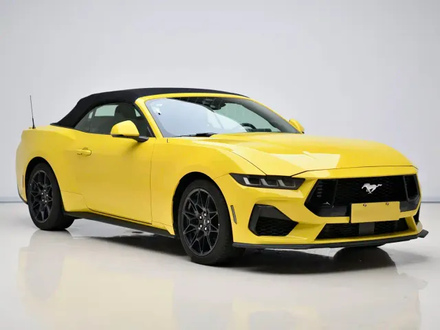 Ford Mustang — Фото автомобиля 3