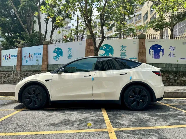Tesla Model Y — Фото автомобиля 3