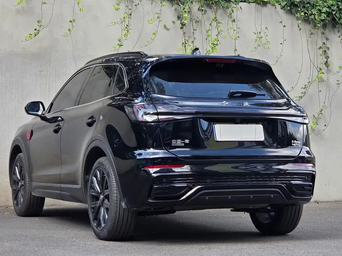 Hongqi Hongqi HS5 2026 2.0T 4WD Mystic Shadow Edition — Фото автомобиля 9