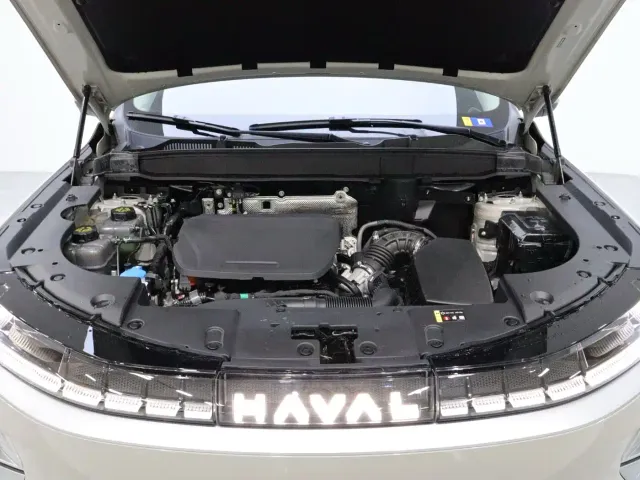 Haval Xiaolong MAX — Фото автомобиля 21