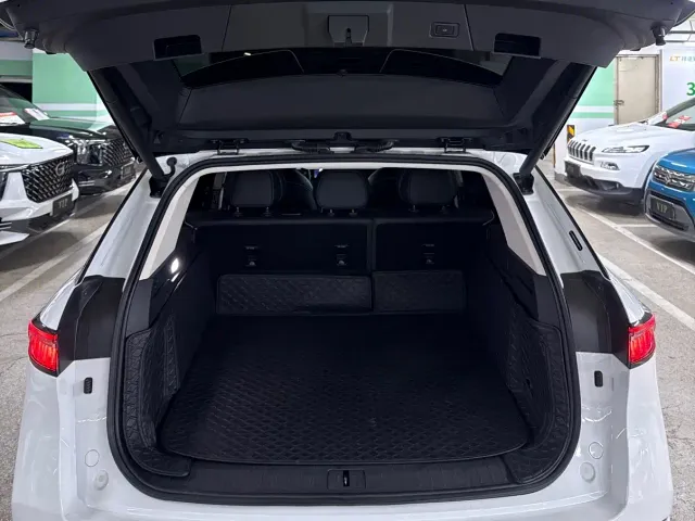 Chery Tiggo 9 — Фото автомобиля 17