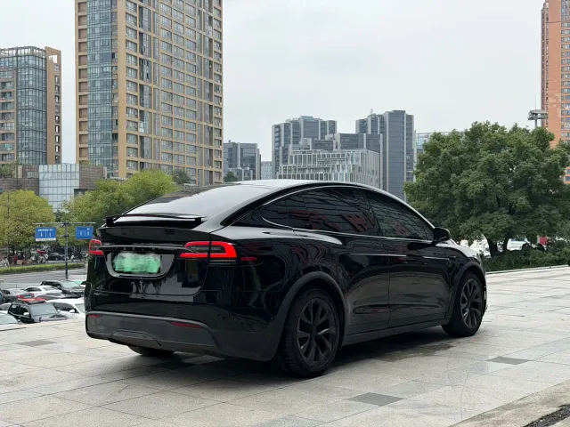Tesla Model X — Фото автомобиля 6