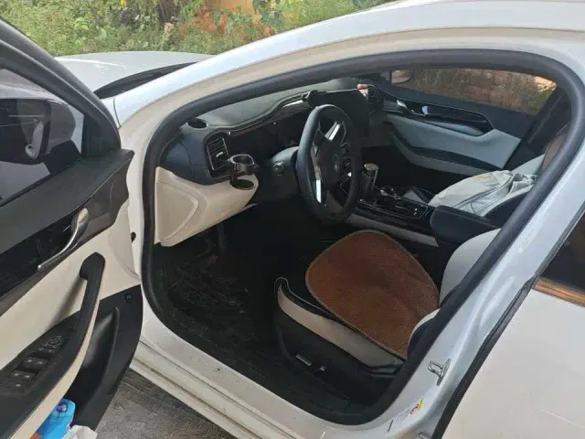 BYD Qin PLUS — Фото автомобиля 2