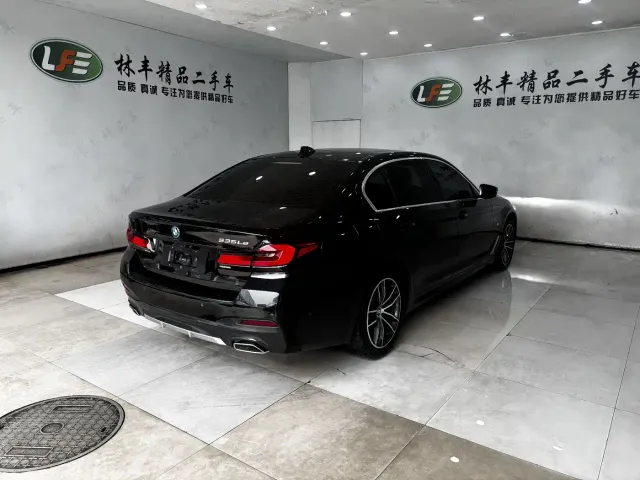 BMW 5 Series — Фото автомобиля 5
