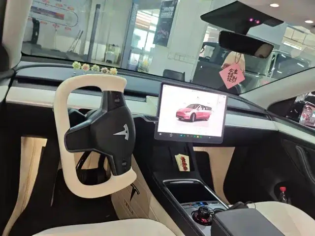 Tesla Model Y — Фото автомобиля 6