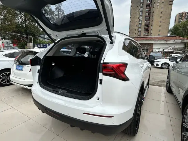 Haval H6 — Фото автомобиля 9