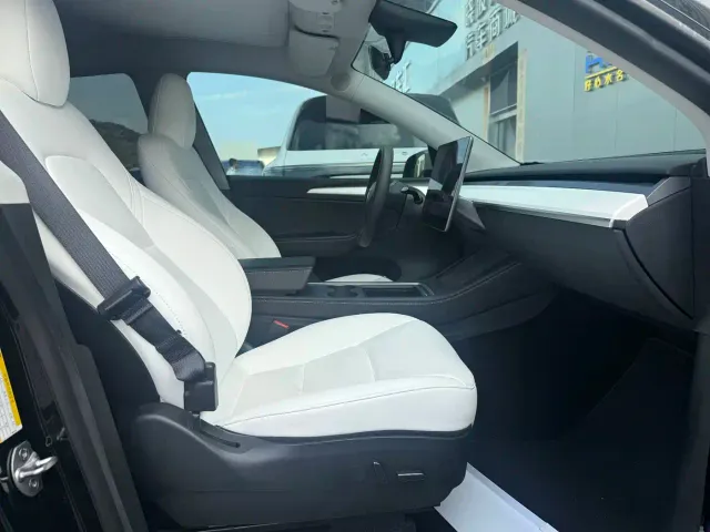Tesla Model Y — Фото автомобиля 7