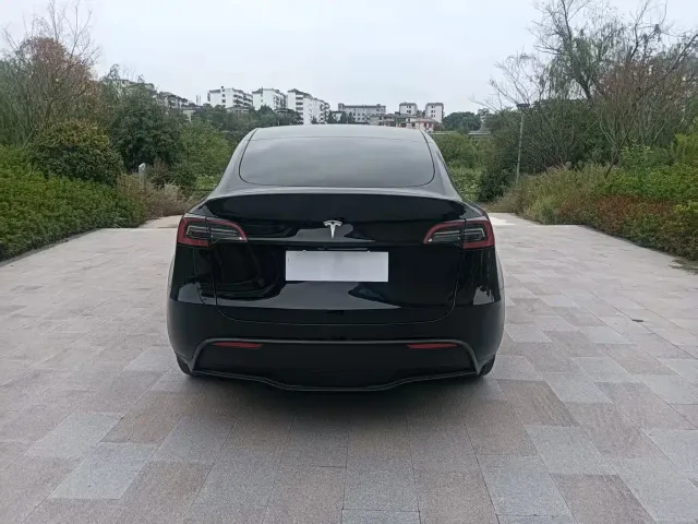 Tesla Model Y — Фото автомобиля 3