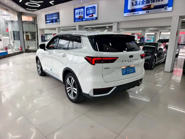 Ford Lingrui — Фото автомобиля 15