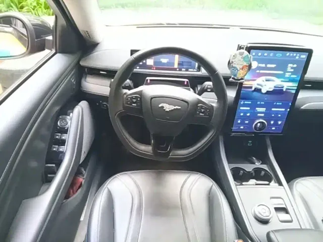 Ford Mustang Mach-E — Фото автомобиля 10
