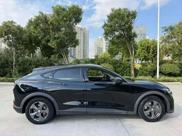 Ford Mustang Mach-E — Фото автомобиля 8