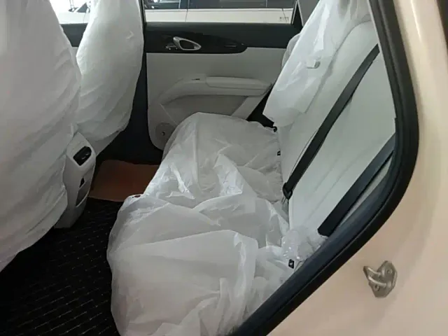 Geely Starry Wish — Фото автомобиля 16