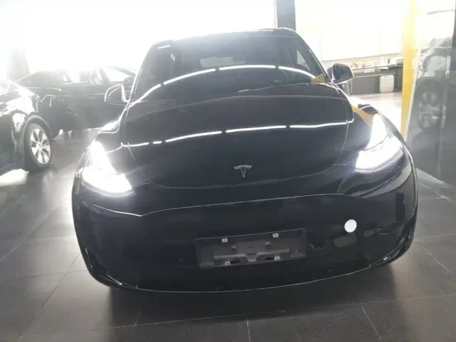 Tesla Model Y — Фото автомобиля 2