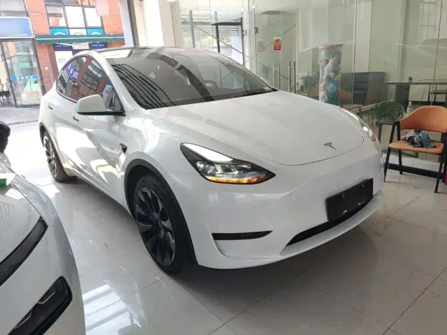 Tesla Model Y — Фото автомобиля 21
