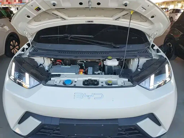 BYD Seagull — Фото автомобиля 19