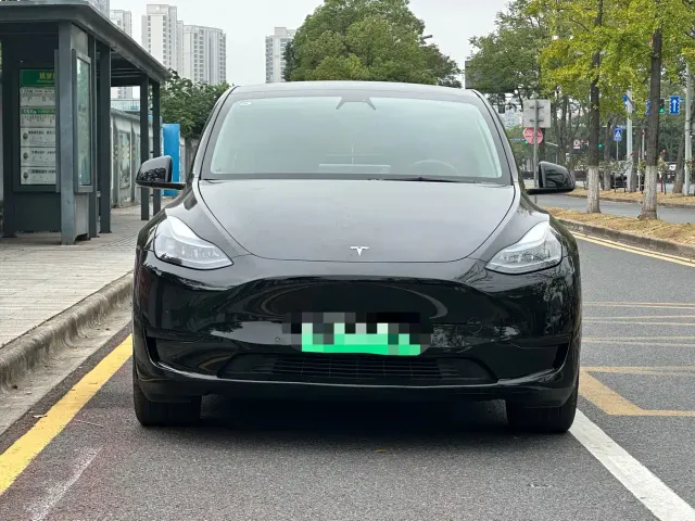 Tesla Model Y — Фото автомобиля 2