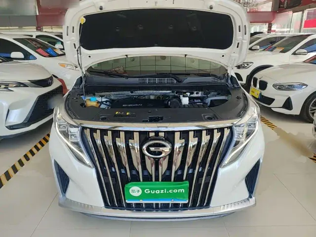 GAC Trumpchi M8 — Фото автомобиля 19