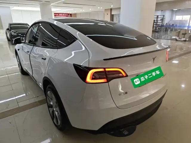 Tesla Model Y — Фото автомобиля 4