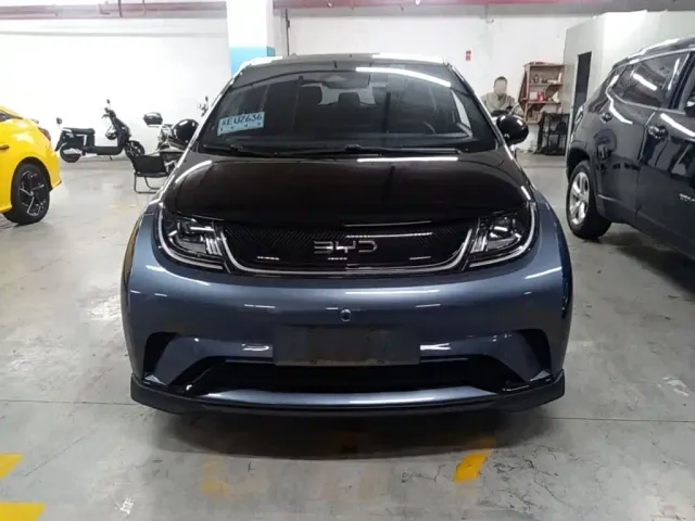 BYD Dolphin — Фото автомобиля 2