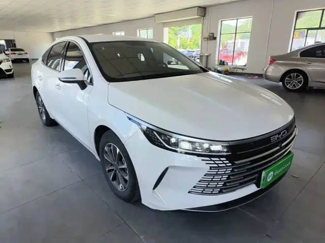 BYD Destroyer 05 — Фото автомобиля 21