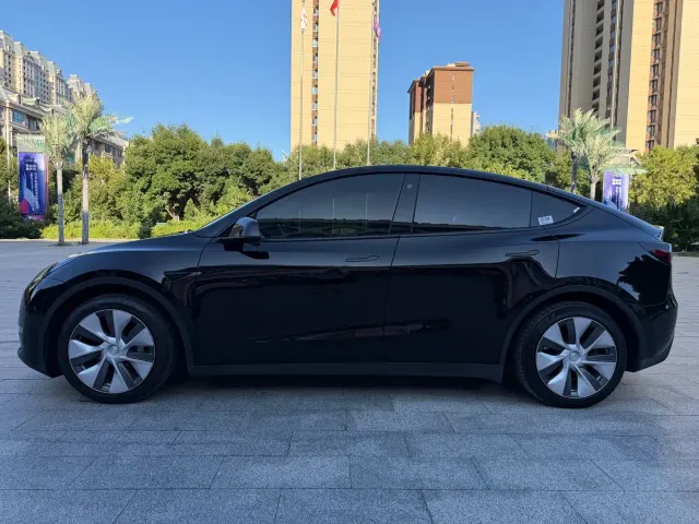 Tesla Model Y — Фото автомобиля 3
