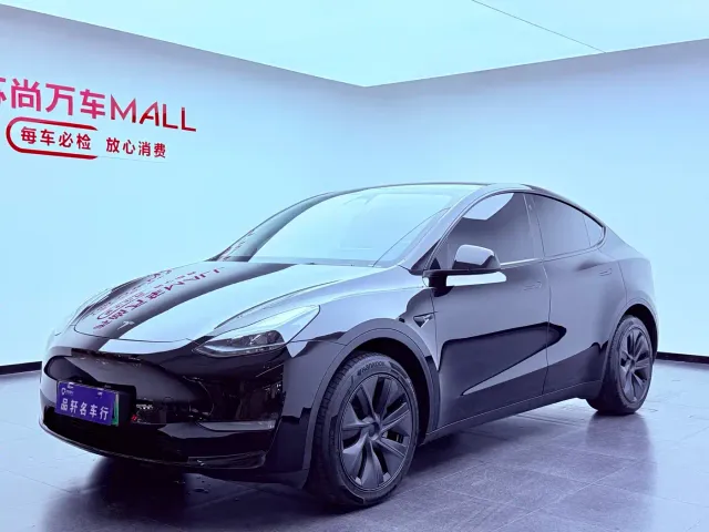 Tesla Model Y — Фото автомобиля 3