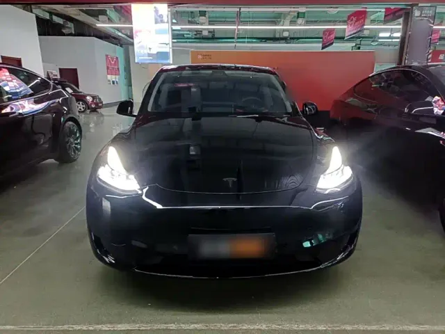 Tesla Model Y — Фото автомобиля 2