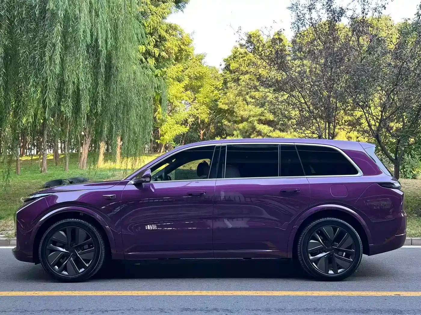 Li Auto Li Xiang L9 2024 Model Ultra — Фото автомобиля 3