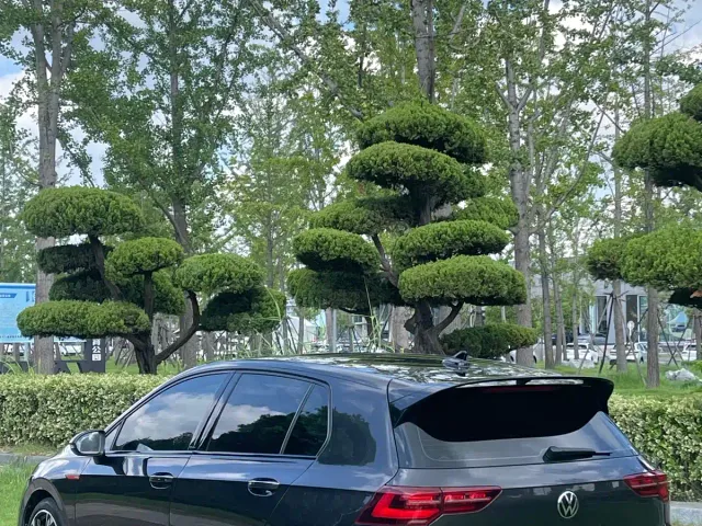 Volkswagen Golf GTI — Фото автомобиля 14