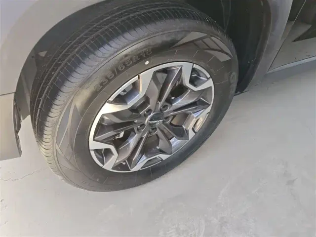 Haval Big Dog — Фото автомобиля 19