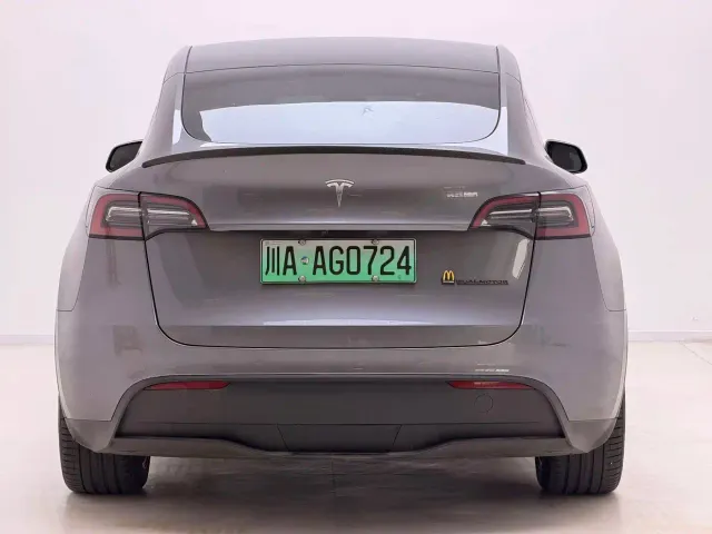 Tesla Model Y — Фото автомобиля 10