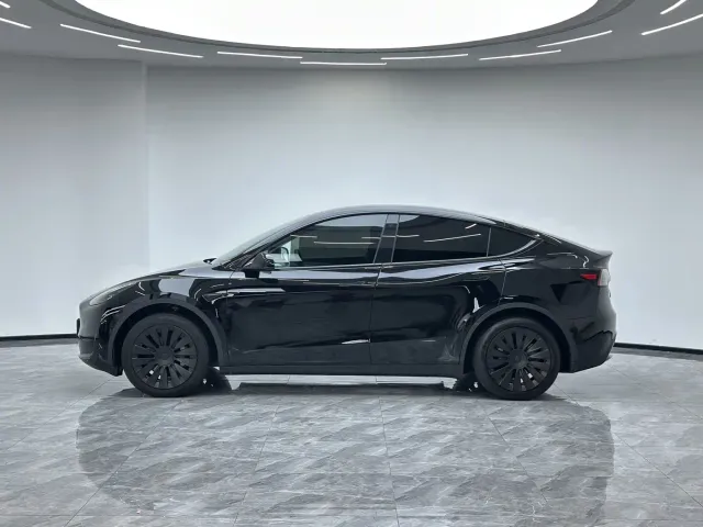 Tesla Model Y — Фото автомобиля 8