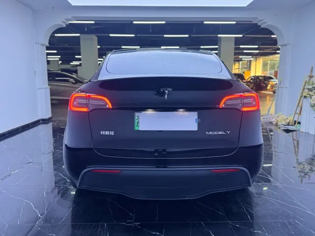 Tesla Model Y — Фото автомобиля 10